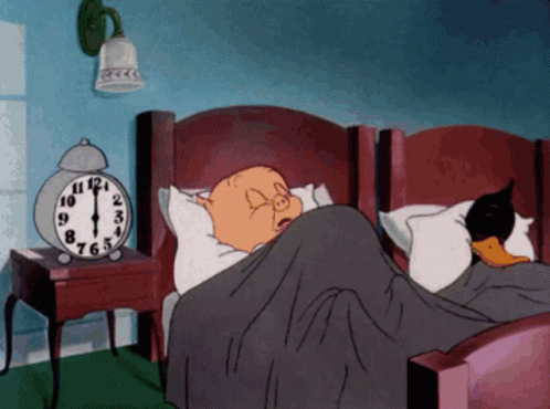 A Pig And A Duck Are Sleeping In A Bed Next To An Alarm Clock That Reads 6:55 GIF