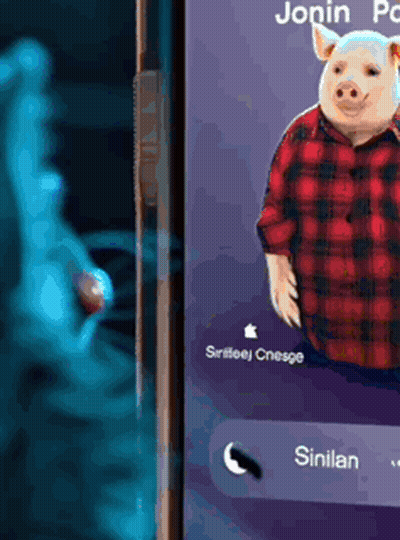 A Pig In A Plaid Shirt Is On The Phone Screen GIF