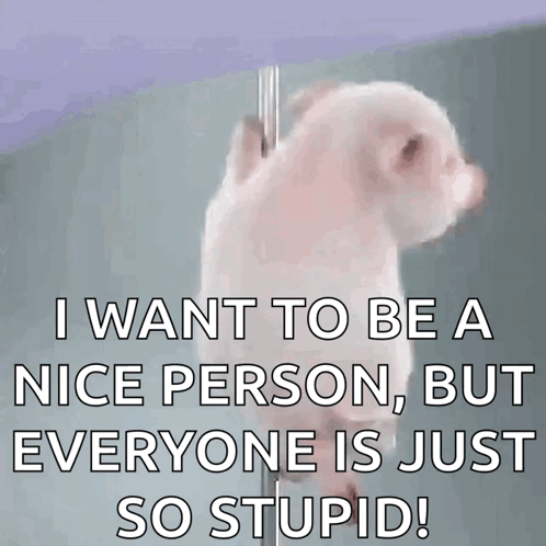 A Pig Is Hanging From A Pole With The Words I Want To Be A Nice Person But Everyone Is Just So Stupid GIF