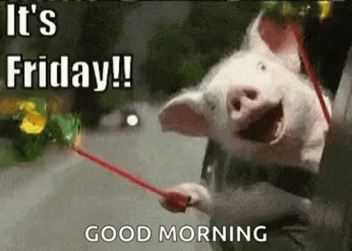 A Pig Is Holding A Red Rope And Says `` It 'S Friday ! `` Good Morning . GIF
