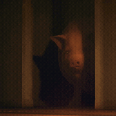 A Pig Is Standing In A Dark Room And Smiling At The Camera GIF