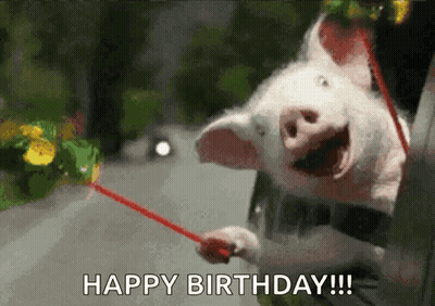 A Pig Is Sticking Its Head Out Of A Car Window And Holding A Red Wand . GIF