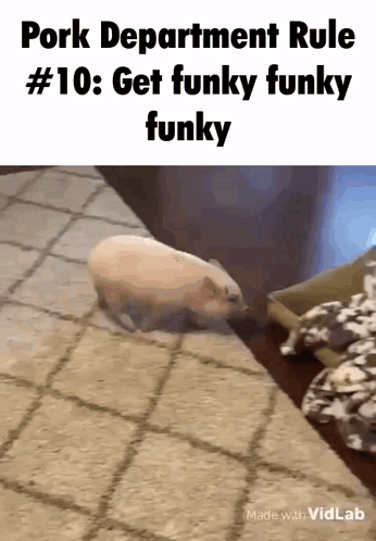A Pig Is Walking On A Rug With The Words Pork Department Rule # 10 Get Funky Funky Funky GIF