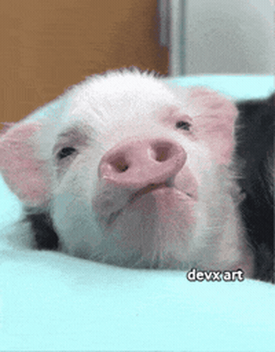 A Pig Laying On A Bed With Devx Art Written On The Bottom Right GIF