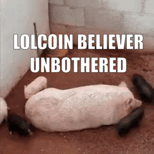A Pig Laying On The Ground With The Words Lolcoin Believer Unbothered Written Above It GIF