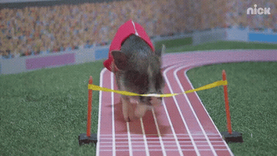 A Pig Wearing A Red Cape Is Running On A Track That Says Nick On The Bottom GIF