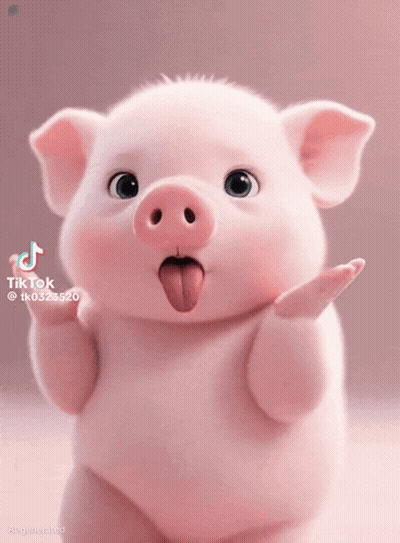 A Pig With Its Tongue Hanging Out Is On A Pink Background With Tiktok Written On The Bottom GIF