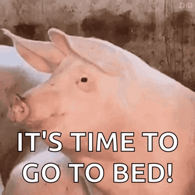 A Pig With The Words It 'S Time To Go To Bed Written On It GIF