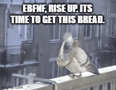 A Pigeon Is Sitting On A Railing With A Caption That Says Ebfnf Rise Up Its Time To Get This Bread . GIF