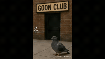 A Pigeon Is Standing In Front Of A Building With A Sign That Says Goon Club GIF