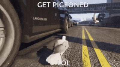 A Pigeon Laying On The Ground Next To A Car That Says Get Pigeoned GIF