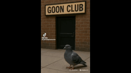 A Pigeon Standing In Front Of A Sign That Says ' Goon Club ' GIF