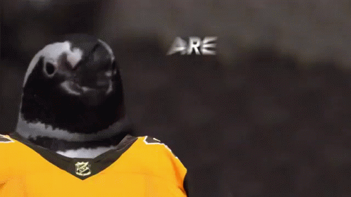A Pigeon Wearing A Hockey Jersey With The Words " Are You Ready " Behind It GIF