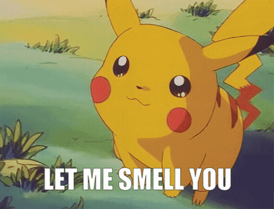 A Pikachu Says " Let Me Smell You " While Standing In The Grass GIF