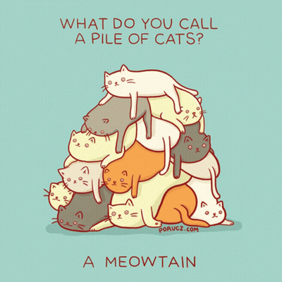 A Pile Of Cats With The Words " What Do You Call A Pile Of Cats " On The Bottom GIF
