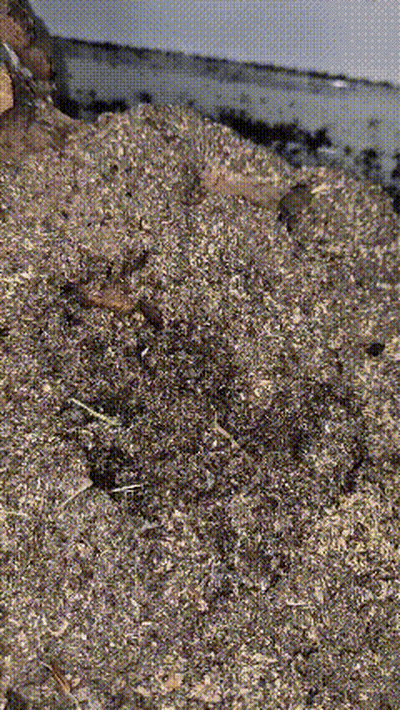 A Pile Of Dirt With A Lot Of Small Stones GIF