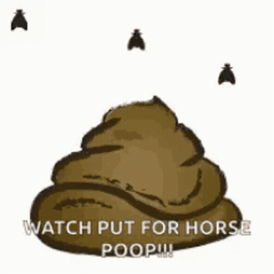 A Pile Of Poop With Two Flies Flying Around It And The Words Watch Put For Horse Poop . GIF