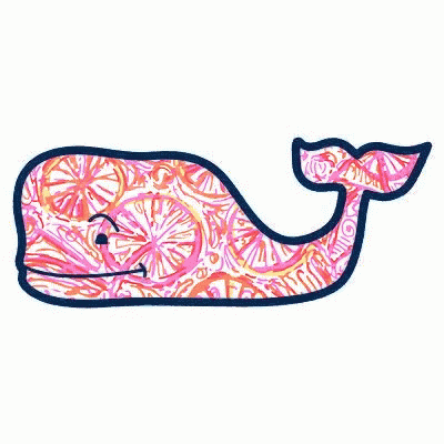 A Pink And Blue Whale With A Paisley Pattern On It GIF