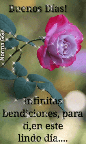 A Pink And Purple Rose With The Words Buenos Dias Written Above It GIF