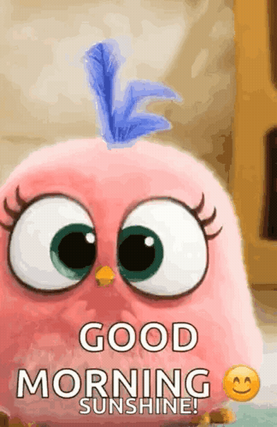 A Pink Angry Bird With A Blue Feather On Its Head Says Good Morning Sunshine GIF