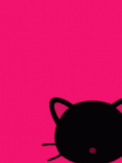 A Pink Background With A Black Cat And A Question Mark Asking What Are You Staring At GIF