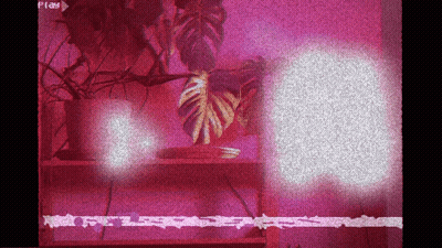 A Pink Background With A Plant And The Word Play GIF