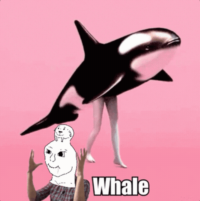 A Pink Background With A Whale And A Cartoon Face GIF