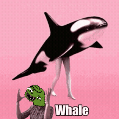 A Pink Background With A Whale And A Cartoon Face GIF