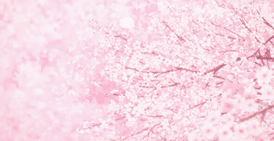 A Pink Background With Cherry Blossoms On A Tree GIF