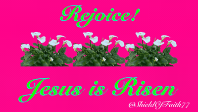 A Pink Background With The Words Rejoice Jesus Is Risen On It GIF