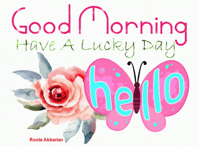 A Pink Butterfly With The Words Good Morning Have A Lucky Day On It GIF