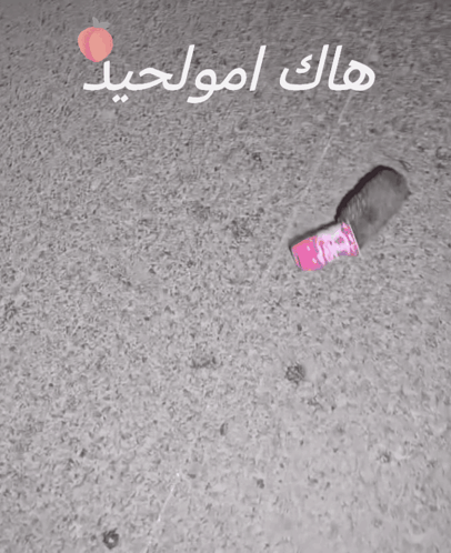 A Pink Can With The Number 3 On It Is Laying On The Ground GIF