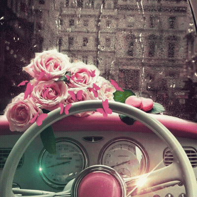 A Pink Car With Roses And Butterflies On The Steering Wheel And A Speedometer That Reads 100 Mph GIF