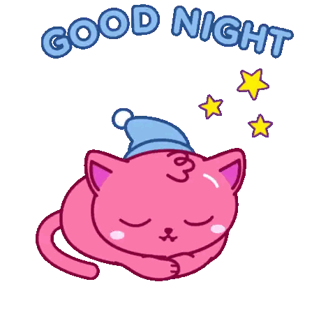 A Pink Cat With A Hat On Its Head And The Words Good Night Sticker