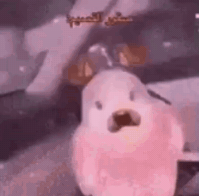 A Pink Dog Is Standing In Front Of A Car . GIF