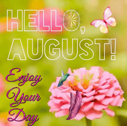 A Pink Flower With A Butterfly And The Words Hello August Enjoy Your Day GIF