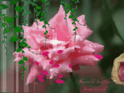 A Pink Flower With The Words Eyeworld Love You On The Bottom Right GIF