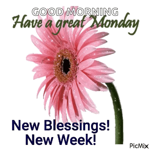 A Pink Flower With The Words " Good Morning Have A Great Monday New Blessings New Week " GIF
