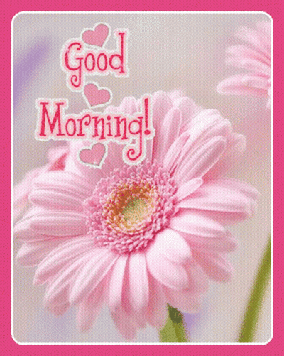 A Pink Flower With The Words " Good Morning " Written On It GIF