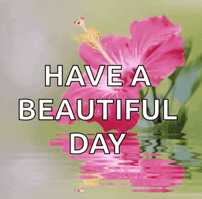 A Pink Flower With The Words " Have A Beautiful Day " Below It GIF