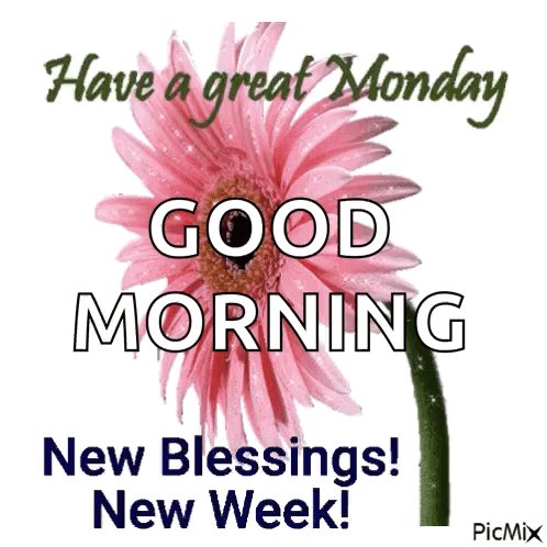 A Pink Flower With The Words Have A Great Monday Good Morning And New Blessings New Week GIF
