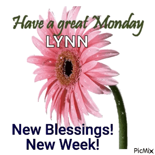 A Pink Flower With The Words Have A Great Monday Lynn New Blessings New Week On It GIF