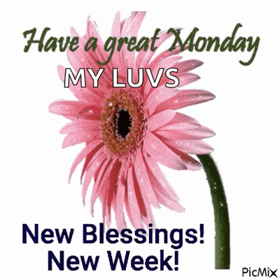 A Pink Flower With The Words Have A Great Monday My Luvs New Blessings New Week On It GIF