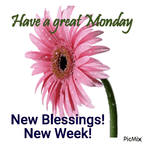 A Pink Flower With The Words Have A Great Monday New Blessings New Week On It GIF