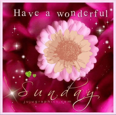 A Pink Flower With The Words Have A Wonderful Sunday Below It GIF