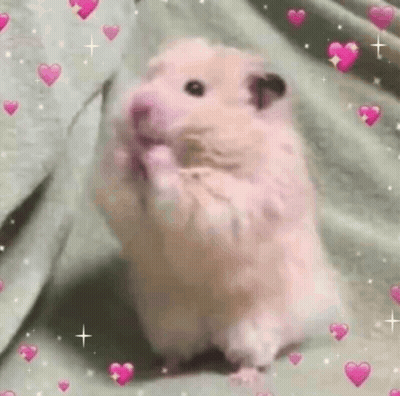 A Pink Hamster Is Standing On Its Hind Legs On A Bed With Pink Hearts Around It . GIF