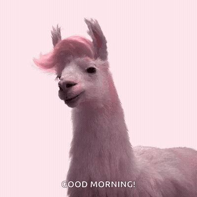 A Pink Llama With A Pink Wig Is Standing On A Pink Background And Says Good Morning . GIF