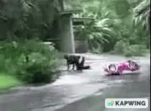 A Pink Motorcycle Is Sitting On The Side Of A Road In The Rain . GIF
