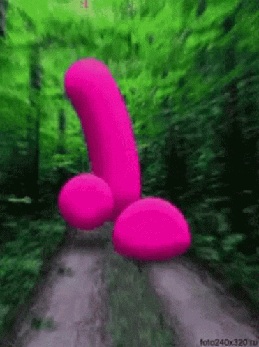 A Pink Penis Is Walking Down A Road In The Woods . GIF