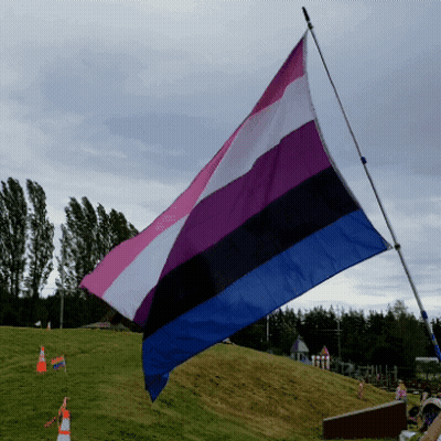 A Pink Purple And Blue Flag Is Flying In A Field GIF